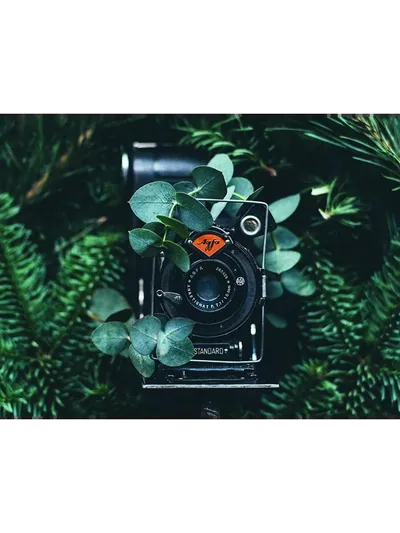 Постер «Ретро пленочный фотоаппарат Agfa»
