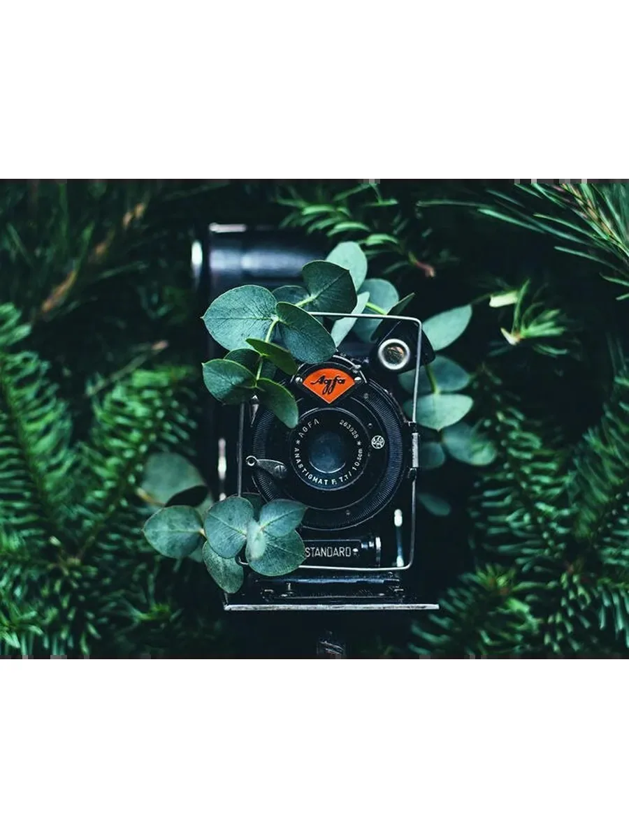 Постер «Ретро пленочный фотоаппарат Agfa»