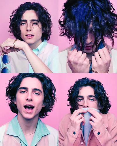 Постер «Тимоти Шаламе (Timothee Chalamet) Коллаж»