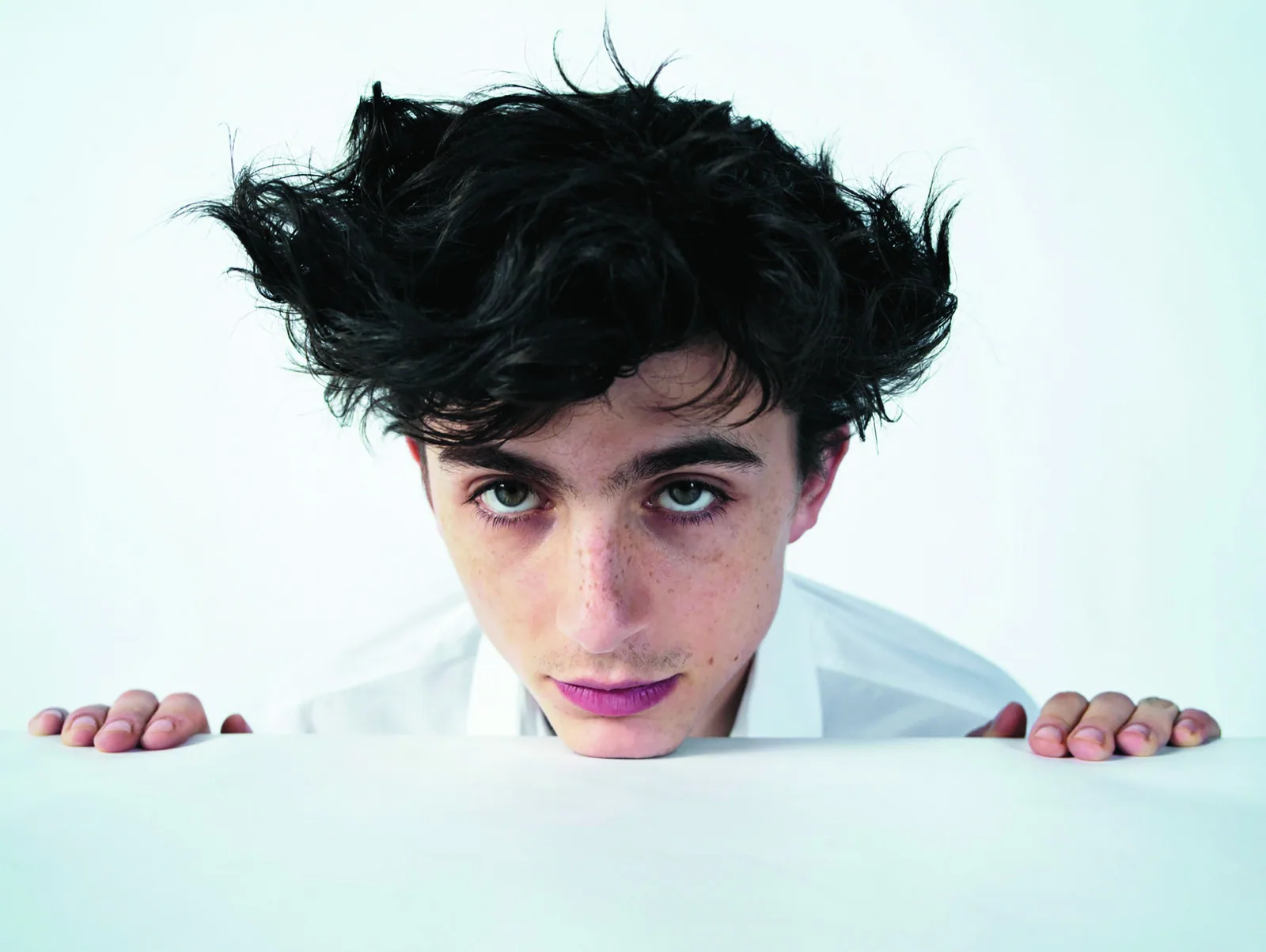 Постер «Актер Тимоти Шаламе (Timothee Chalamet)»