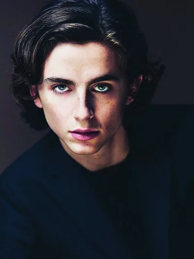 Постер «Портрет Тимоти Шаламе (Timothee Chalamet)»