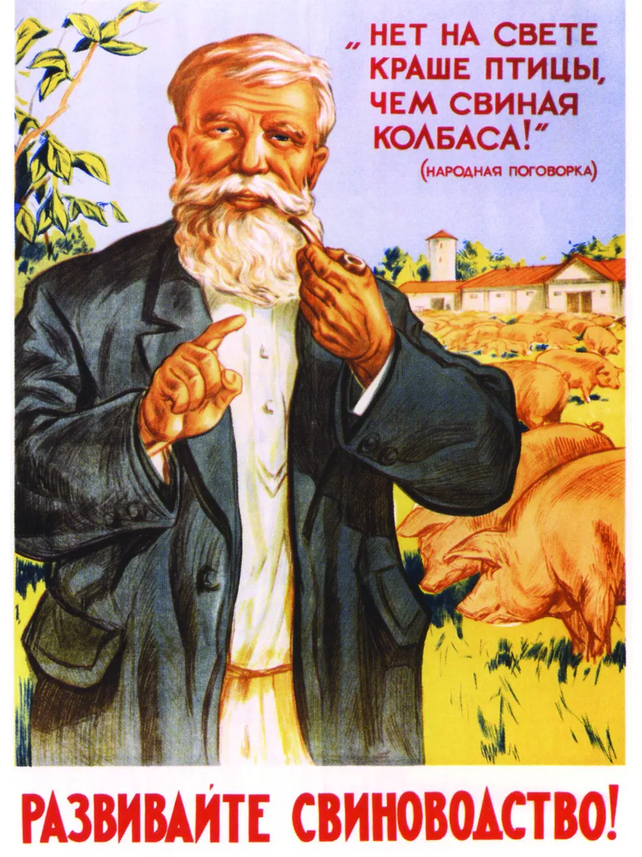 Постер «Ретро СССР плакат Развивайте свиноводство!»